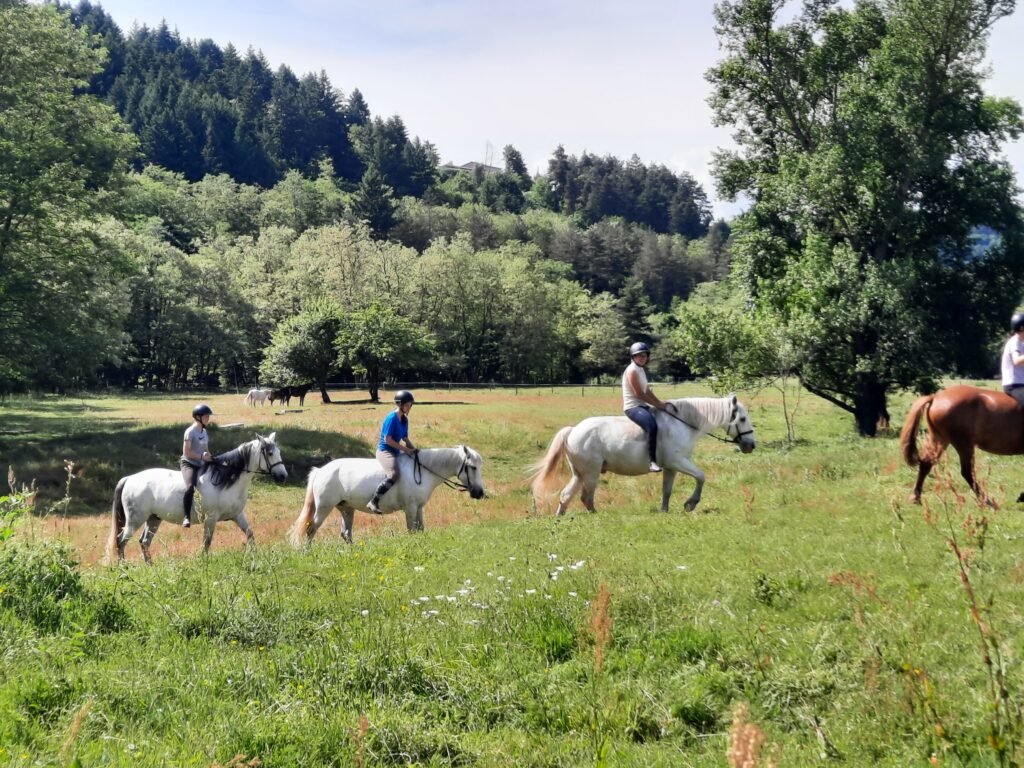 EQUITATION NATURE